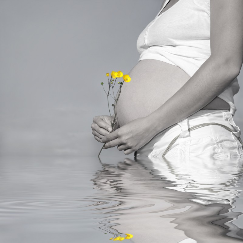 Abstract of a pregnant woman holding a bunch of buttercups with exposed bare stomach. Desaturated with only the flowers saturated and reflection over rippled water.